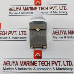 Idec Apn116W Control Unit 100/110V 50-60 Hz