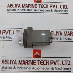 Idec Apn116W Control Unit 100/110V 50-60 Hz