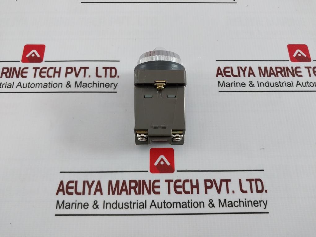 Idec Apn118 Pilot Light Control Unit 100/110V 50-60Hz 18V 2W 1431 Ih