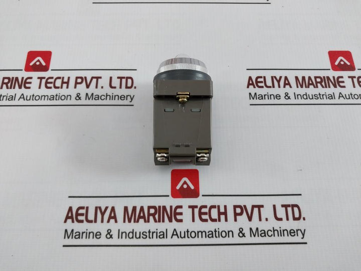 Idec Apn118 Pilot Light Control Unit 100/110V 50-60Hz 18V 2W 1431 Ih