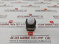Idec Apn Pilot Light