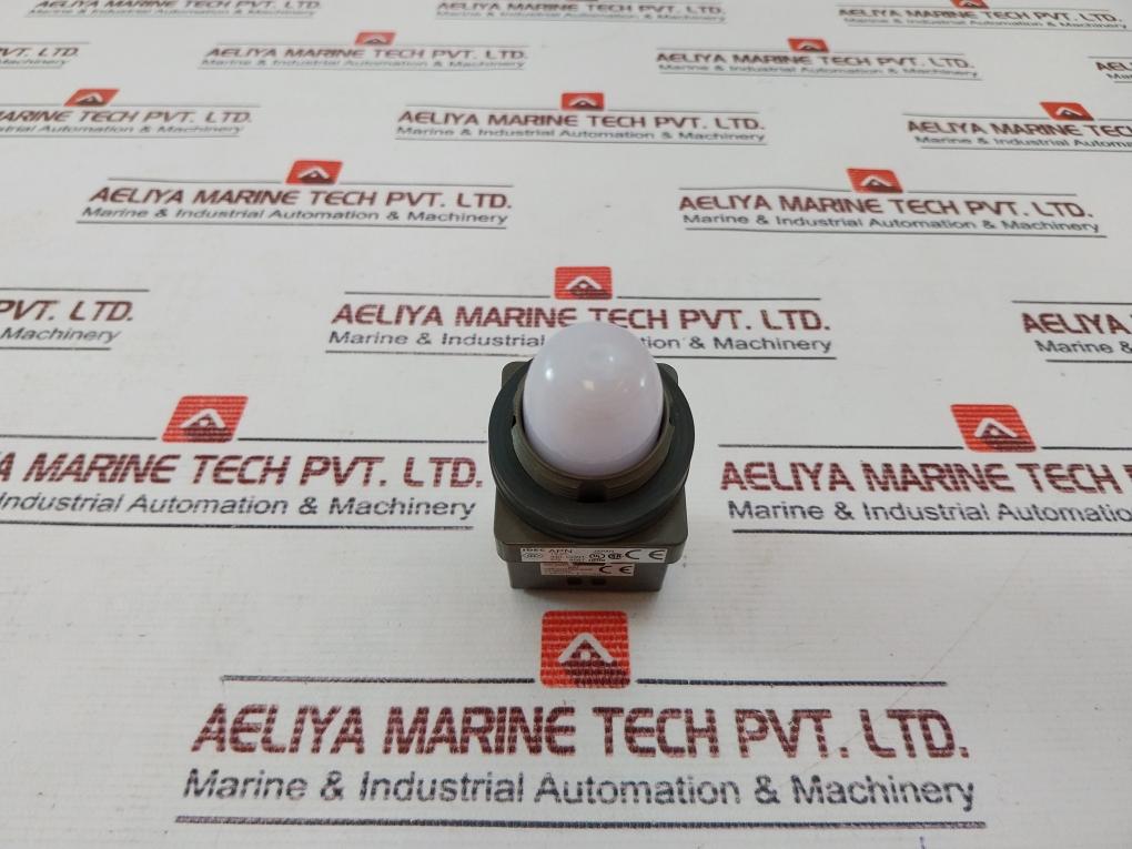 Idec Apn Pilot Light