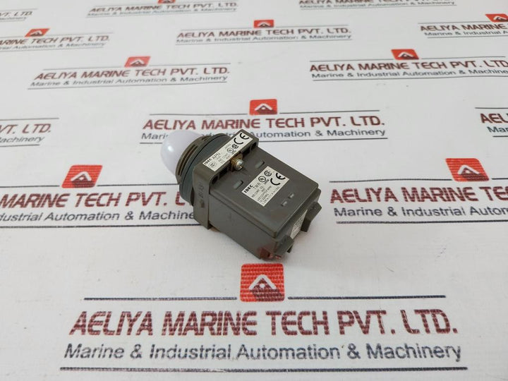 Idec Apn Pilot Light