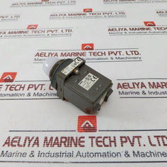 Idec Apn Pilot Light