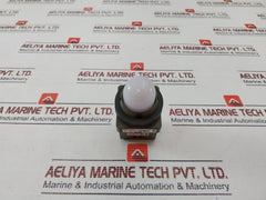 Idec Apn Pilot Light