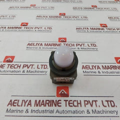 Idec Apn Pilot Light