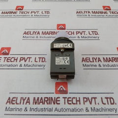 Idec Apn Pilot Light