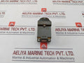 Idec Apn Pilot Light