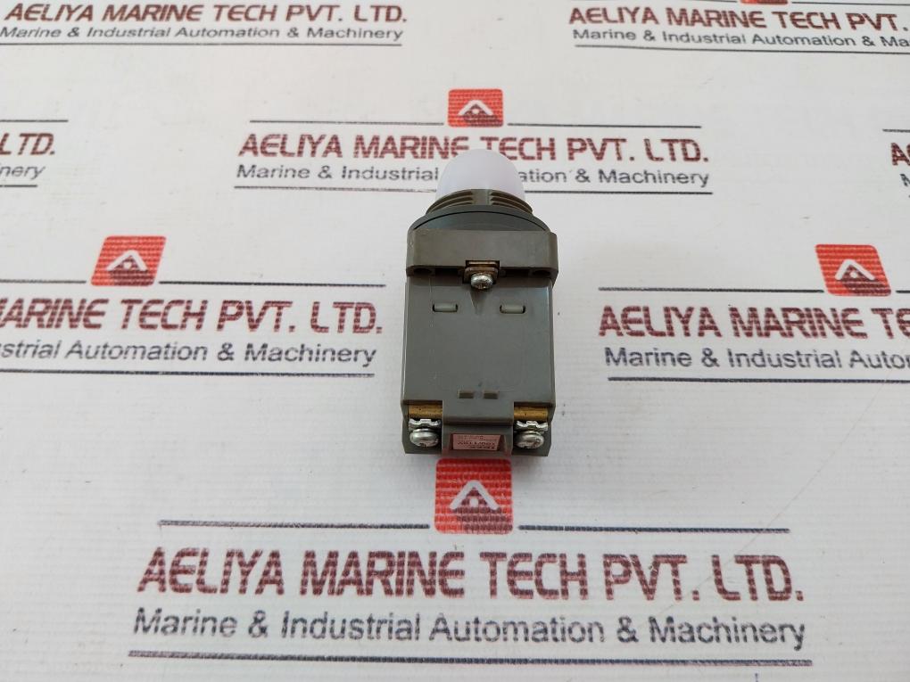 Idec Apn Pilot Light