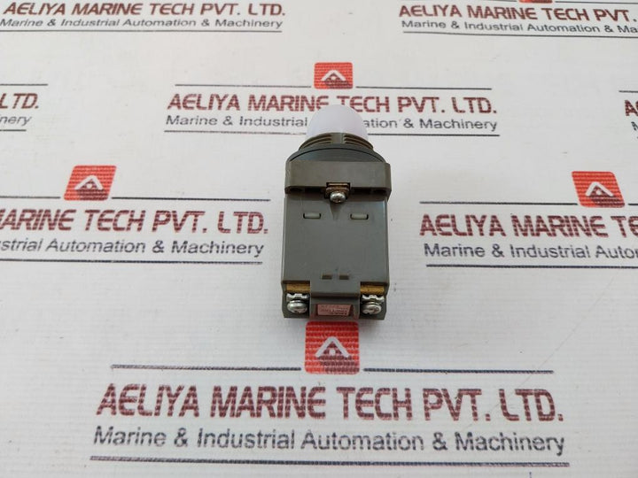 Idec Apn Pilot Light
