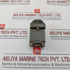 Idec Apn Pilot Light