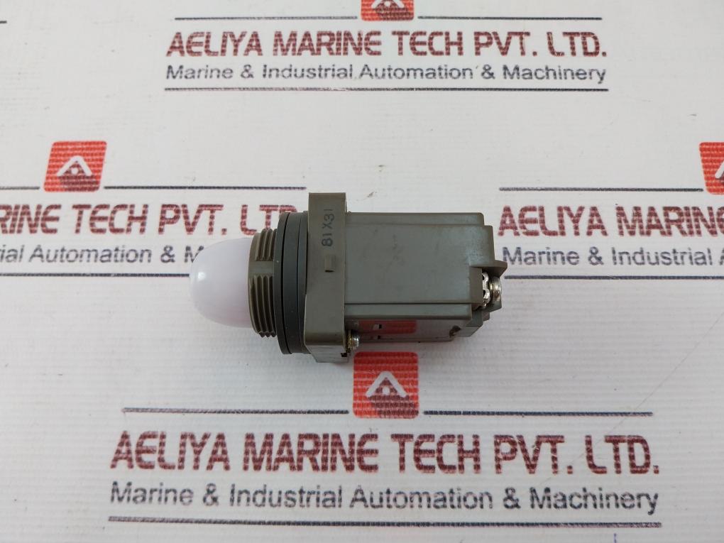 Idec Apn Pilot Light