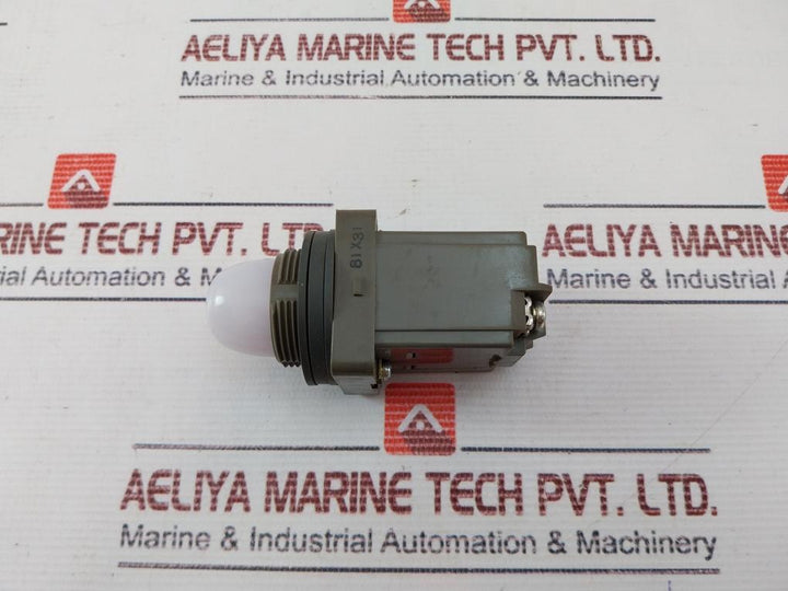 Idec Apn Pilot Light