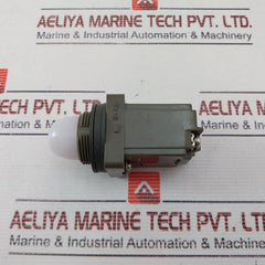 Idec Apn Pilot Light