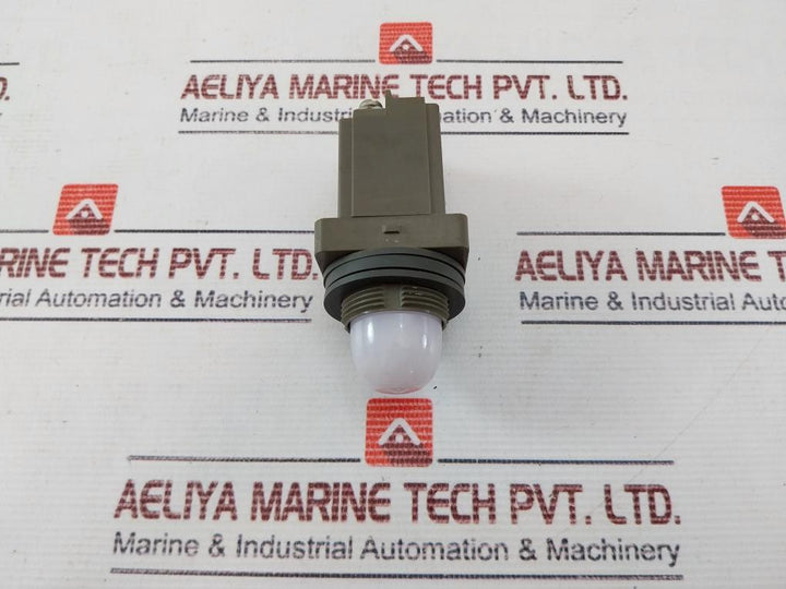 Idec Apn Pilot Light
