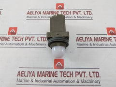 Idec Apn Pilot Light