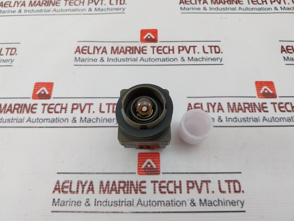 Idec Apn Pilot Light