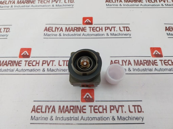 Idec Apn Pilot Light