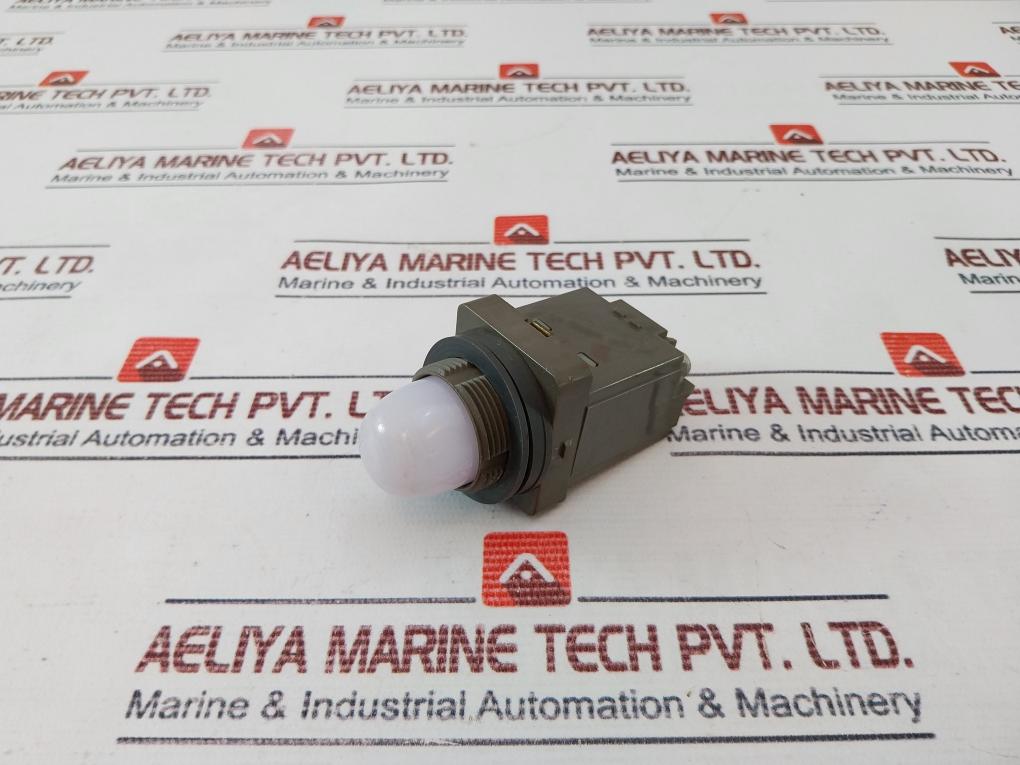 Idec Apn Pilot Light