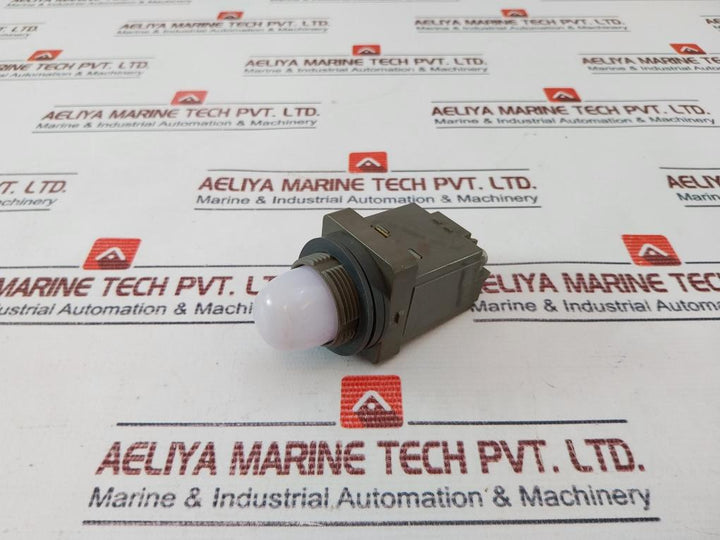 Idec Apn Pilot Light