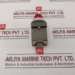Idec Apn Primary Pilot Light 100/110V