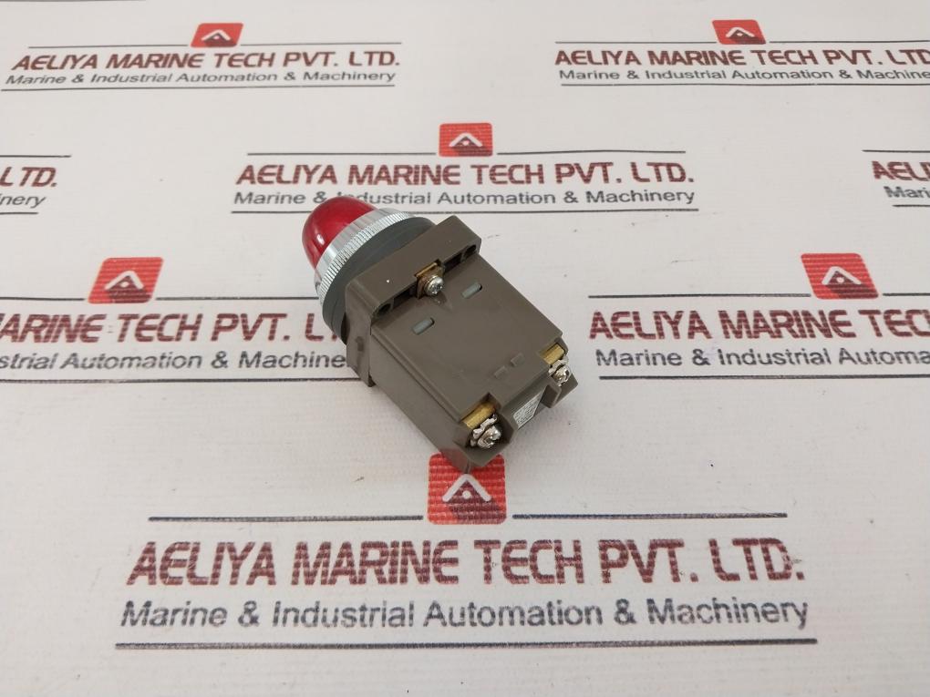 Idec Apn Primary Pilot Light 100/110V