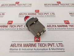 Idec Apn Primary Pilot Light 100/110V