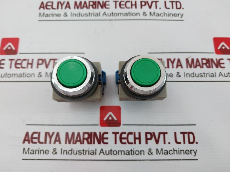 Idec Hw-g10 Push Button With Contact Block A600 10A 80428
