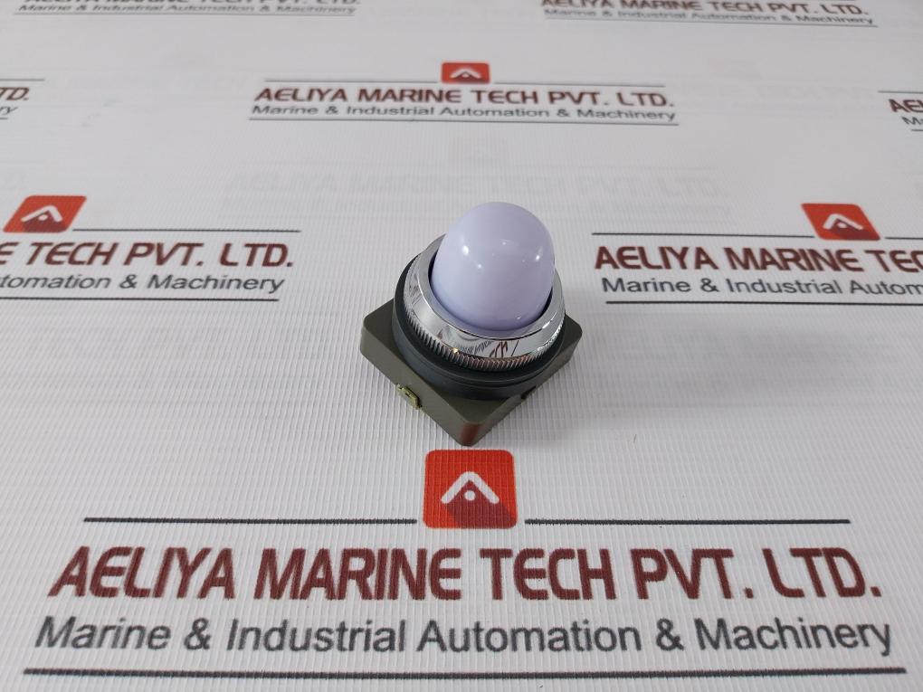 Idec Pilot Light 24V 50-60Hz 30V 2W