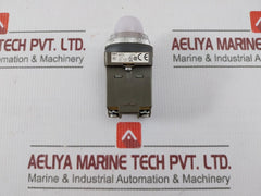Idec Apn Pilot Lamp Indicator 400/440V