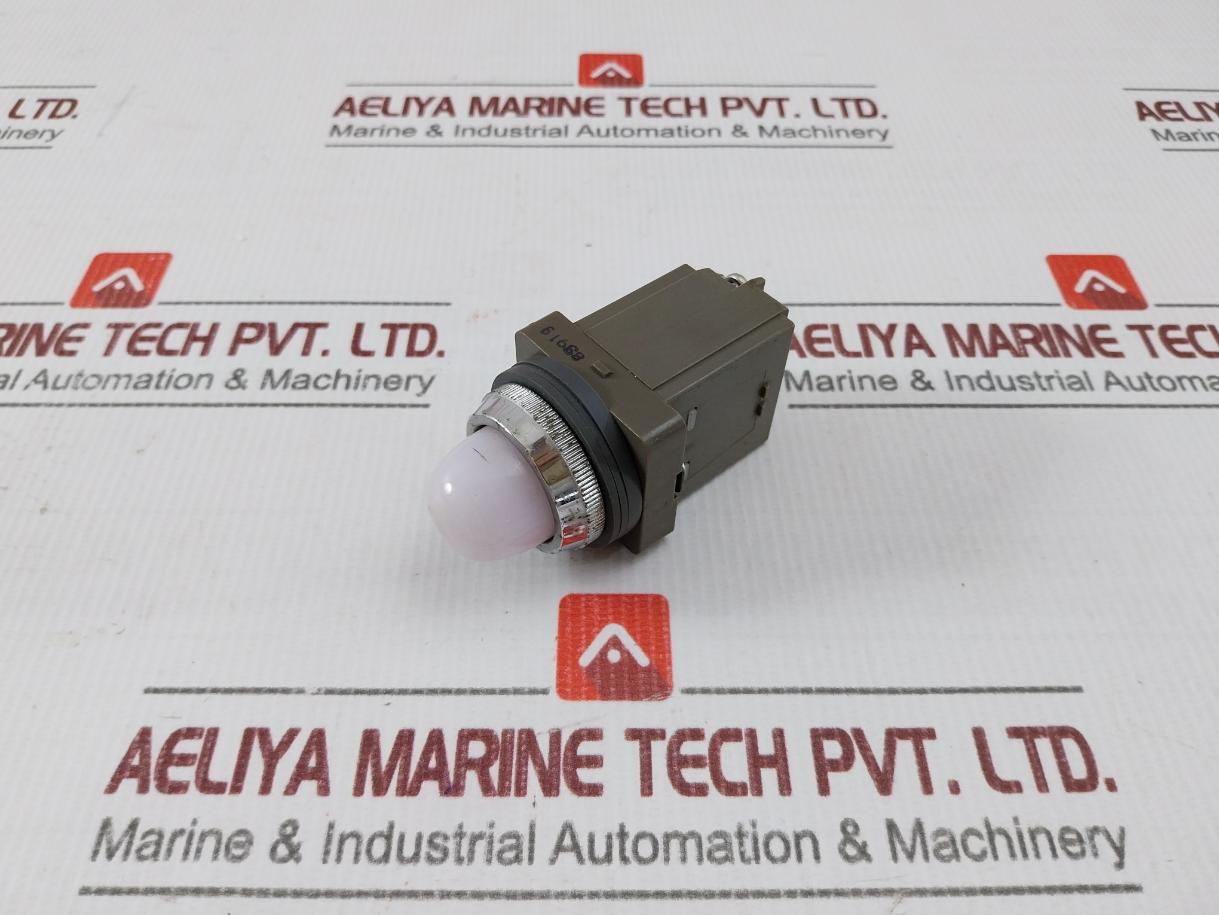 Idec Apn Pilot Lamp Indicator 400/440V