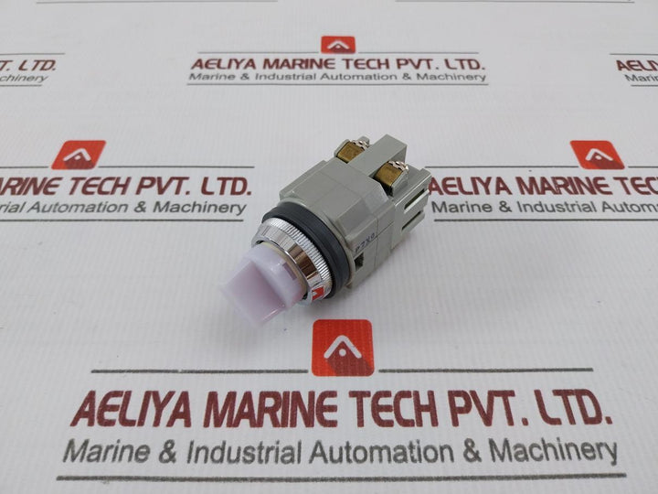 Idec Asln 23320N-w Disconnecting Switch Ds2 600V 10A 1W