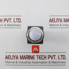 Idec Pilot Light With A Transformer Unit 400/440V
