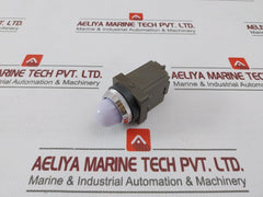 Idec Pilot Light With A Transformer Unit 400/440V