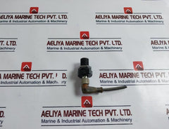 Ifm Electronic Ifs244 Inductive Sensor Pa6Gv20