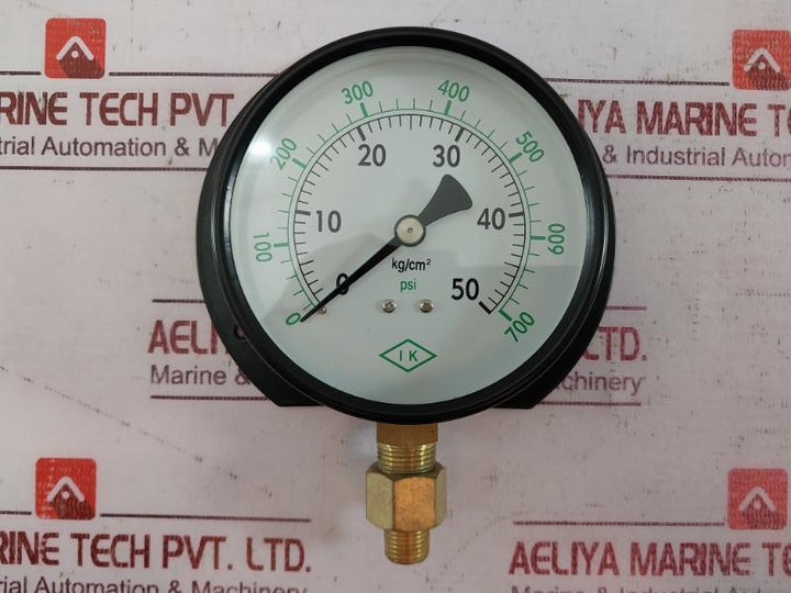 Ik Instruments 100-p-b 1303 Pressure Gauge 0-700 Psi 3/8