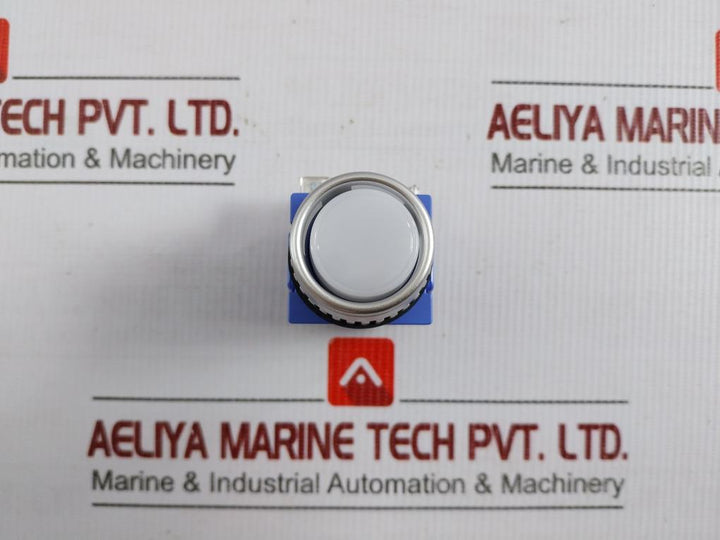 Illuminated Push Button Switch Ac 24V Yongsung Ysnpbl3-024A