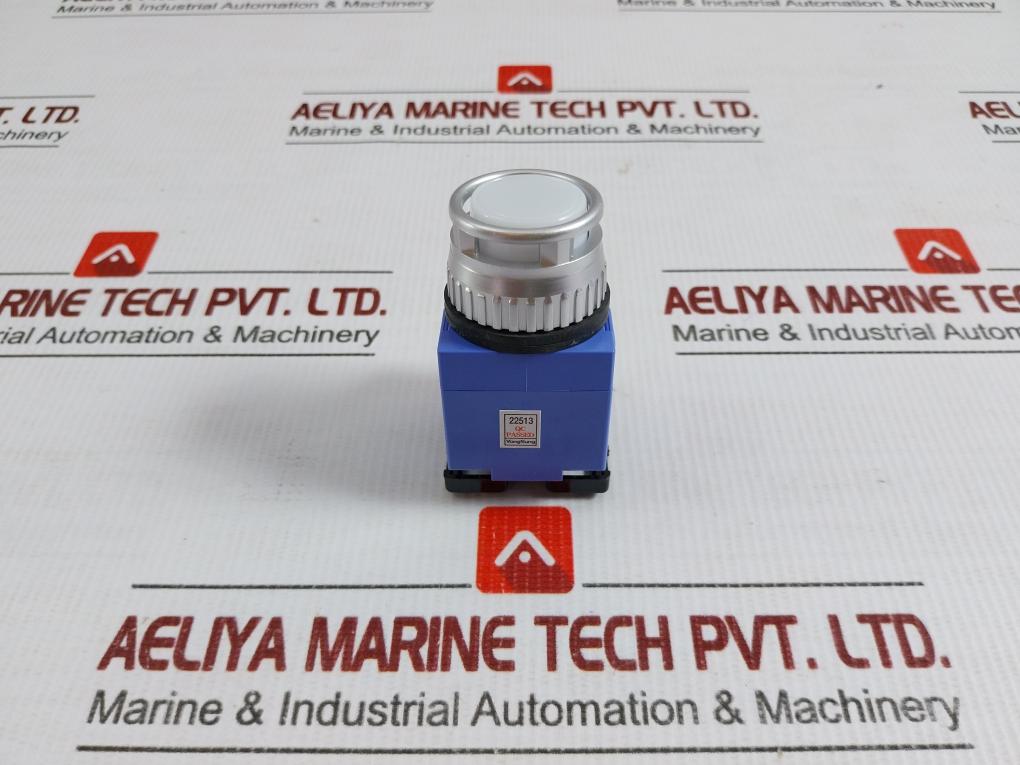 Illuminated Push Button Switch Ac 24V Yongsung Ysnpbl3-024A