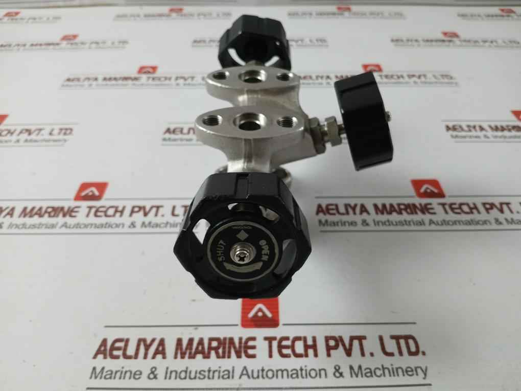 Im300B Manifold Valve 3-dial Valves Brand Yokogawa