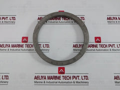 Ina Sl183024-a Cylindrical Roller Bearing G022324