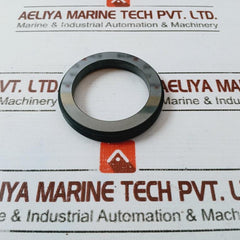 IRON CAR/SIC/NBR/S.S304 Mechanical Shaft Seal FS2100-45MM
