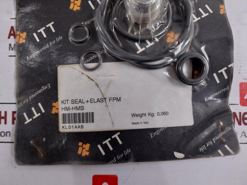 Itt Kit, Seal, Elast, Fpm, Kl01aab Kl02ab0 Bd326976 Pump Gasket Kit