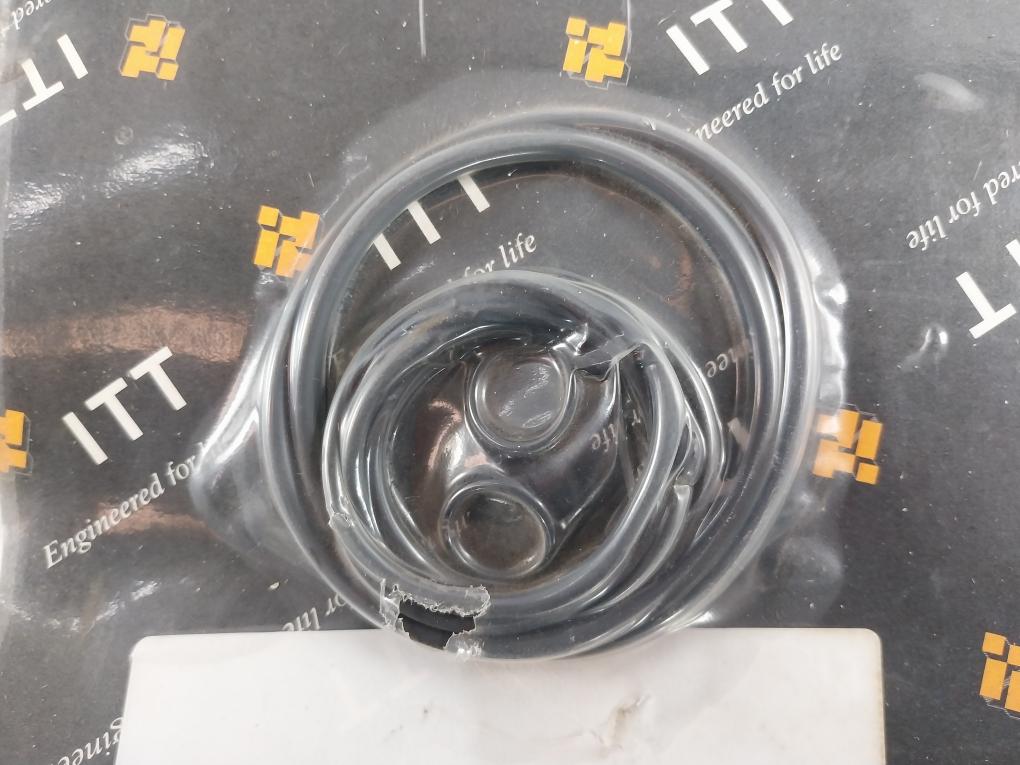 Itt Kit, Seal, Elast, Fpm, Kl01aab Kl02ab0 Bd326976 Pump Gasket Kit