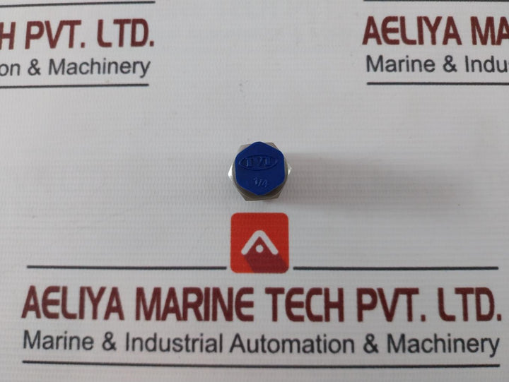Ivi 5454240 Adapter 1/4 Inch Fnpt To 1/4 Inch Mbsp Ss 304