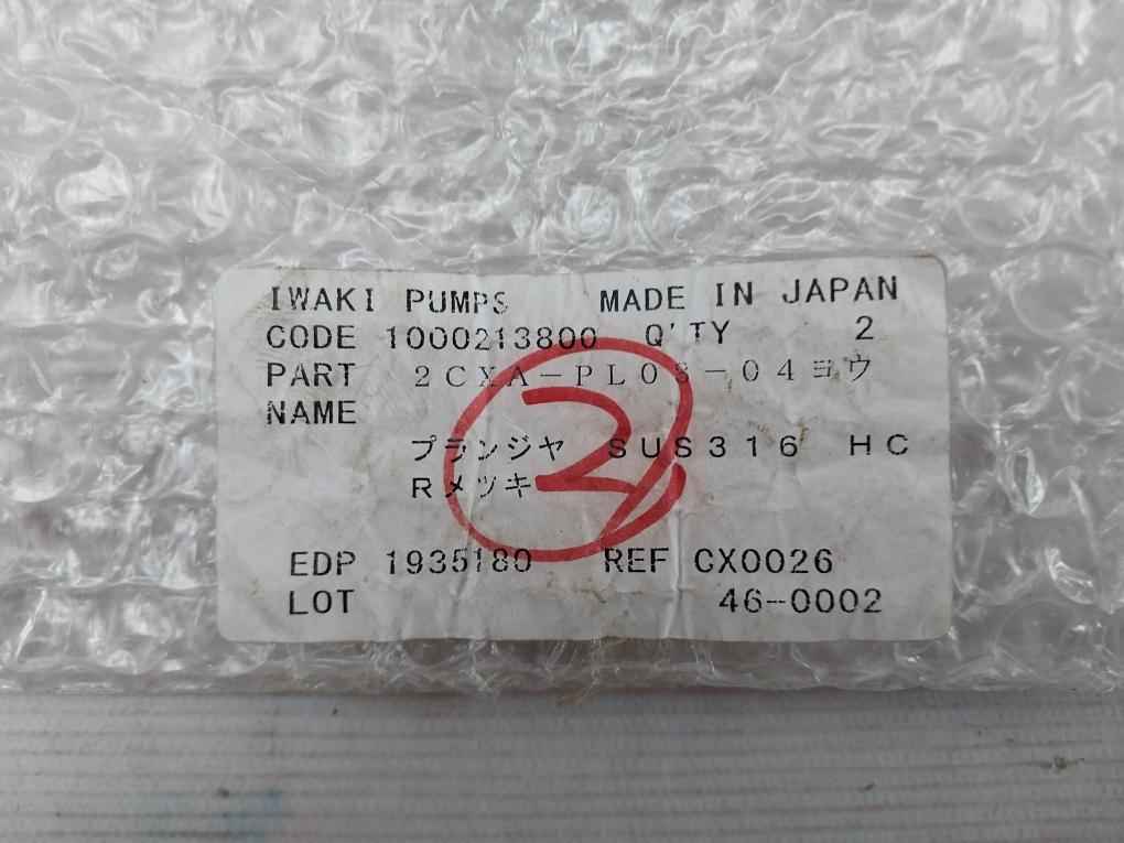 Iwaki 2Cxa-pl08-04 Plunger For Boiler Hydrazine Pump 1000213800