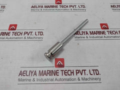 Iwaki 2Cxa-pl08-04 Plunger For Boiler Hydrazine Pump 1000213800