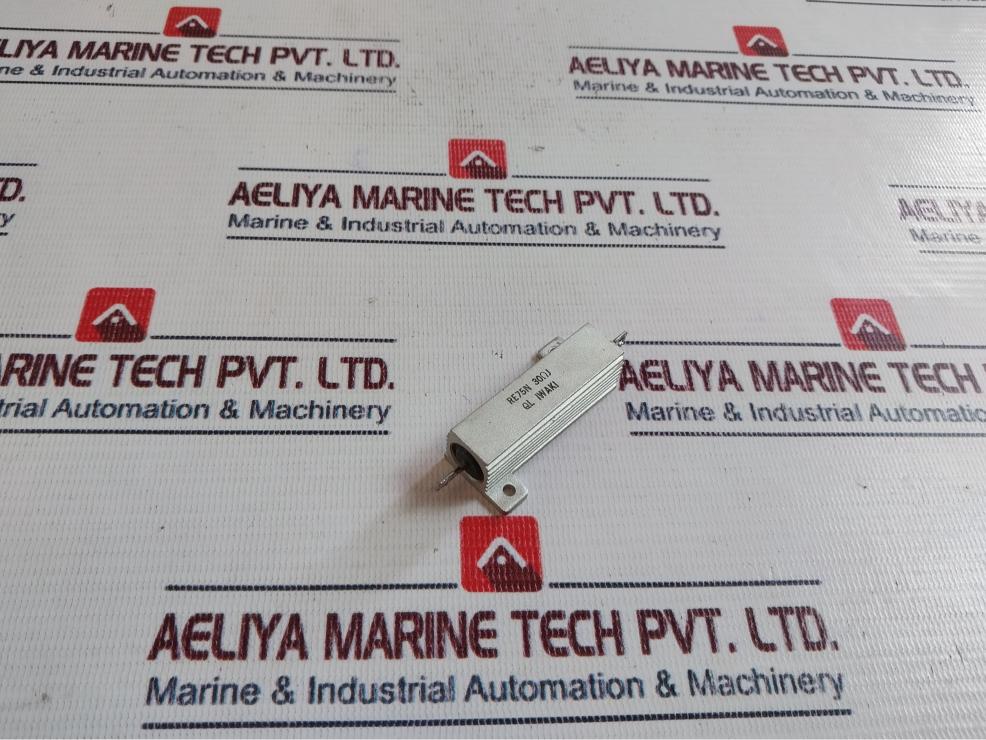 Iwaki Re75N Resistor 30ΩJ