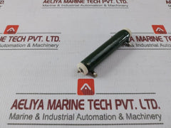 Iwaki Rwh40G Tube Resistor 10?J