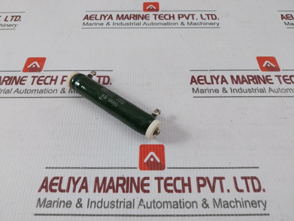 Iwaki Rwh40G Tube Resistor 10?J
