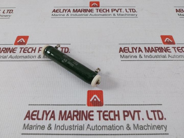 Iwaki Rwh40G Tube Resistor 10?J